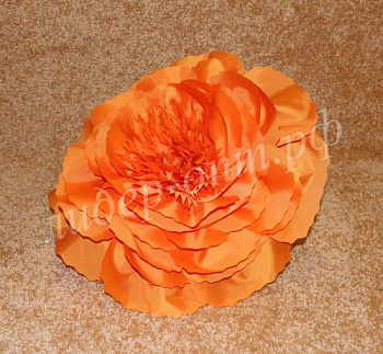 Детская шапка Бархатец