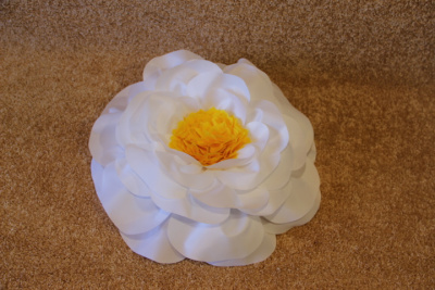 Шапка растения цветы Жасмин