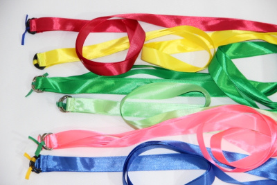 Лента гимнастическая 1,2 м на полуколце