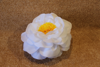 Шапка растения цветы Жасмин