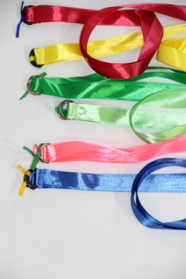 Лента гимнастическая 1,2 м на полуколце