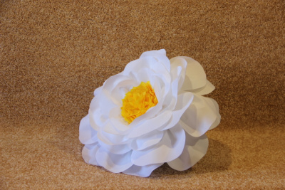 Шапка растения цветы Жасмин